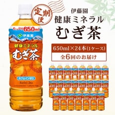 【毎月定期便】伊藤園 健康ミネラル麦茶650ml 24本(1ケース)全6回