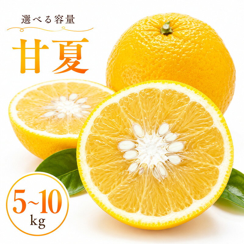 【ふるさと納税】 【先行予約】 甘夏 5kg 10kg 正品 訳あり 小玉 ジュース 用 7000円 10000円 みかん mikan 蜜柑 ミカン あまなつ 産地直送 国産 農家直送 期間限定 数量限定 特産品 ゼリー アイス 人気 甘い フルーツ 果物 柑橘 第一マルエム 愛南町 愛媛県