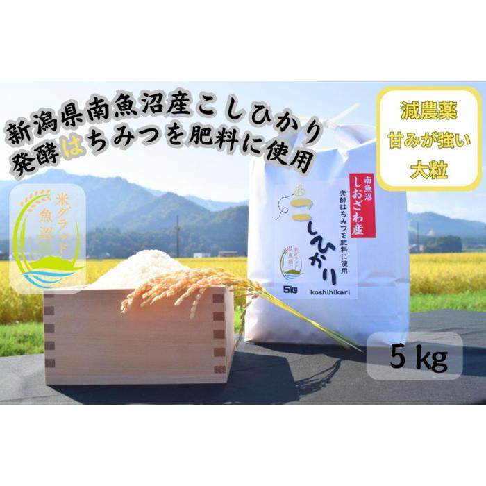 【ふるさと納税】新潟県南魚沼産（塩沢地区）はちみつ米コシヒカリ 5kg※蜂蜜発酵液肥料栽培 | お米 こめ 白米 食品 人気 おすすめ 送料無料 魚沼 南魚沼 南魚沼市 新潟県産 新潟県 精米 産直 産地直送 お取り寄せ