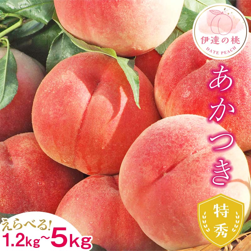 【ふるさと納税】2025年出荷分 先行予約 福島県産 あかつき 約1.2kg 約3kg 約5kg 特秀 糖度12度以上 透過式光センサー選別 2025年7月下旬～2025年8月上旬発送 先行予約 予約 伊達の桃 桃 もも モモ 果物 くだもの フルーツ 名産品 国産 食品 F20C-278var