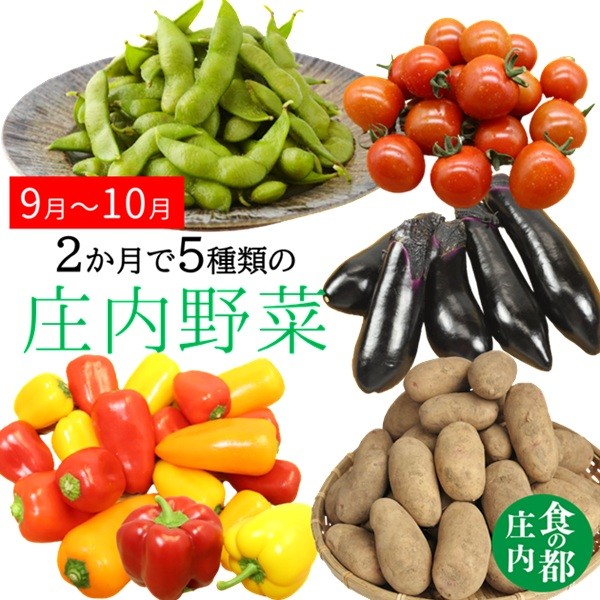 
                  食の都庄内　2か月で5種類の庄内野菜たち【9月～10月】
                