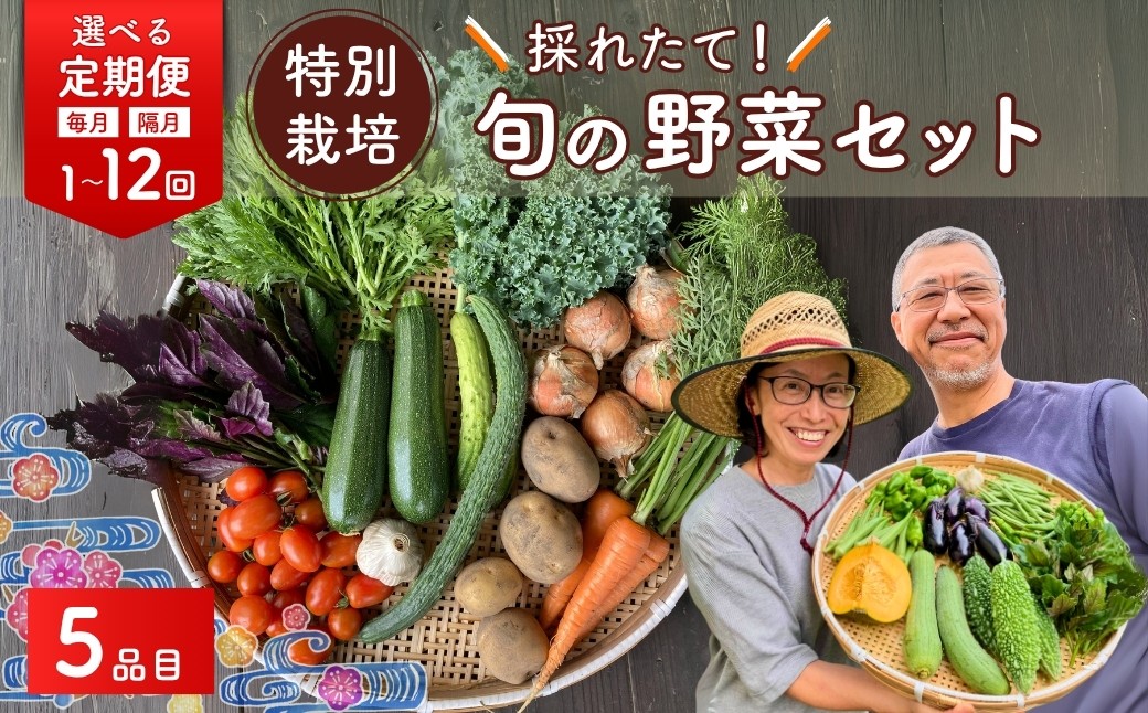 
                  野菜 旬の野菜セット 5品目 特別栽培 選べる定期 | 野菜 やさい 採れたて 生野菜 おまかせ 詰め合わせ 新鮮 旬 季節 春野菜 夏野菜 秋野菜 葉物 根菜 季節限定 地元産 野菜 農業 農家 食育 お取り寄せ 埼玉県 久喜市 たかしま農園
                