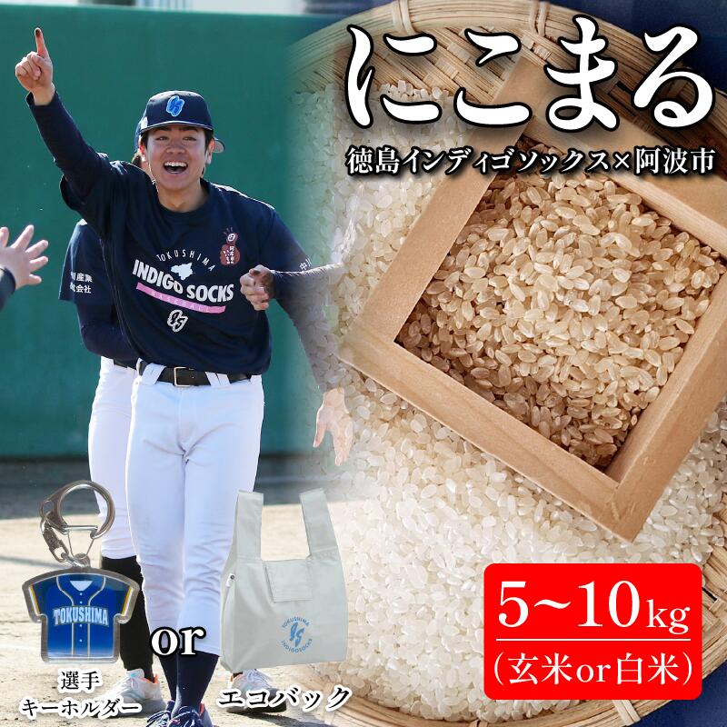 【ふるさと納税】 徳島 インディゴソックス グッズ エコバッグ キーホルダー セット お米 にこまる 5kg 10kg 玄米 白米 野球 四国アイランドリーグ 徳島県 阿波市