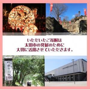 【返礼品なし】群馬県太田市への寄附(10,000円)
