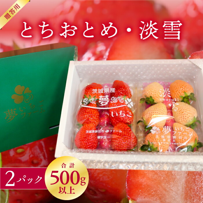 【ふるさと納税】【1～4月発送】紅白いちご（とちおとめ＆淡雪）2パックセット