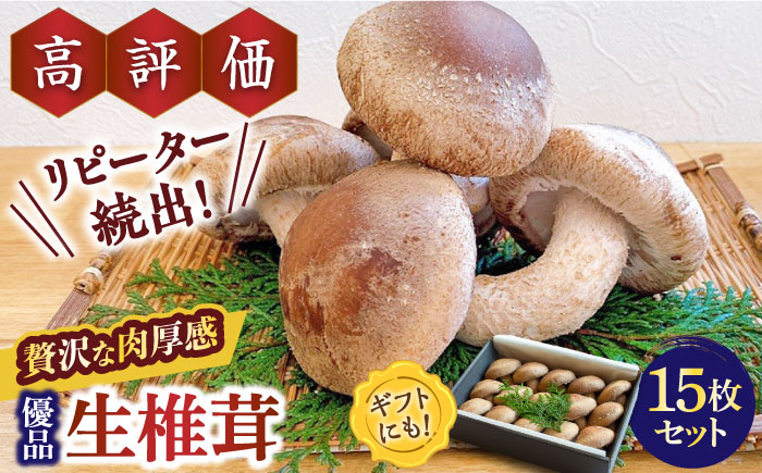 【一度食べたら忘れられない】九州で唯一！ 希少な生椎茸 【優品】15枚セット / きのこ キノコ 茸 / 南島原市 / サンエスファーム [SBX003]