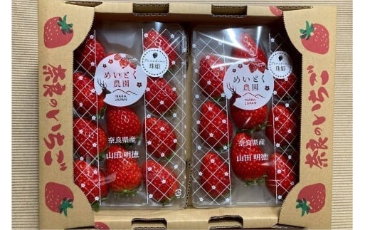 【数量限定】2026年予約販売開始  珠姫（たまひめ）×２パック 先行予約 早期終了予定あり いちご 苺 イチゴ ブランド 旬 産地 直送 フレッシュ 新鮮 いちご農家 めいとく農園 奈良県 奈良市 