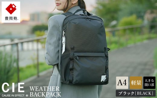 豊岡鞄 CIE WEATHER DAYPACK2 (071955) ブラック