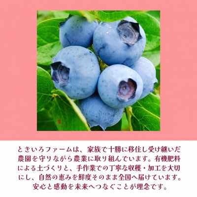 有機JAS認証北海道帯広産 冷凍カシス 2.5kg(500g×5袋)【配送不可地域：離島】【1746260】