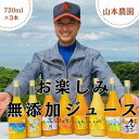 【ふるさと納税】N-118 山本農園のお楽しみ無添加ジュース 3本セット オレンジジュース おやつ ドリンク