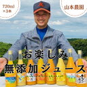 【ふるさと納税】ON-118 山本農園のお楽しみ無添加ジュース 3本セット オレンジジュース おやつ ドリンク