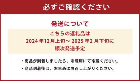 絢音ベリー農園 ＂絢＂  いちご 計1kg (250g×4)【ゆうべに】【2024年12月上旬から2025年1月上旬発送予定】