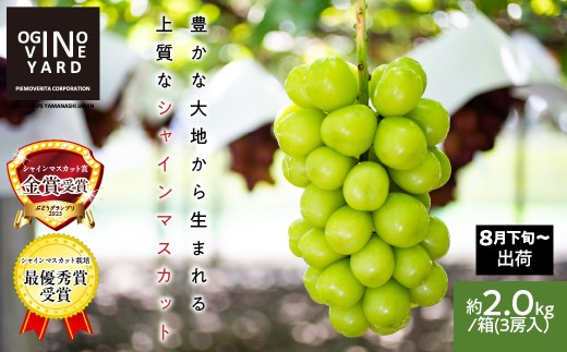 【2026年先行予約_8月下旬～発送】山梨県産シャインマスカット 約２．０ｋｇ／箱　３房入 ALPAK008｜おすすめ 人気 山梨県 産地直送 フルーツ 果物 くだもの ブドウ ぶどう シャイン マスカット くだもの 国産 葡萄 新鮮