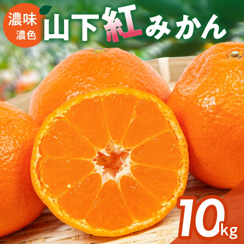 【ふるさと納税】【数量限定】辻本農園 山下紅みかん 10kg【栽培が難しく市場に出回りにくい幻のみかん】