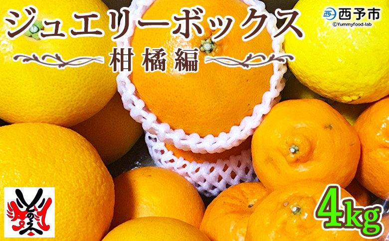 
                  愛媛県明浜産ジュエリーボックス（柑橘編）4kg【配送月指定】
                