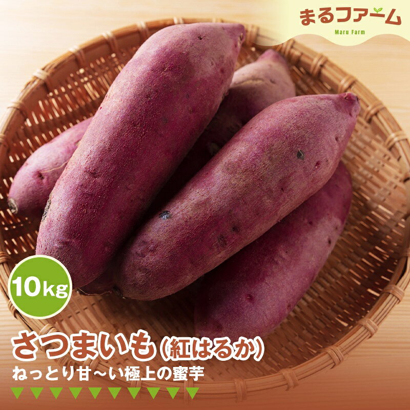 【ふるさと納税】サツマイモ（紅はるか） 10kg ／ さつまいも 紅はるか 国産 新鮮 甘み しっとり 食感 焼き芋 お菓子作り たっぶり 大容量 料理用 常備しやすい 甘い系 送料無料 千葉県 特産 No.376