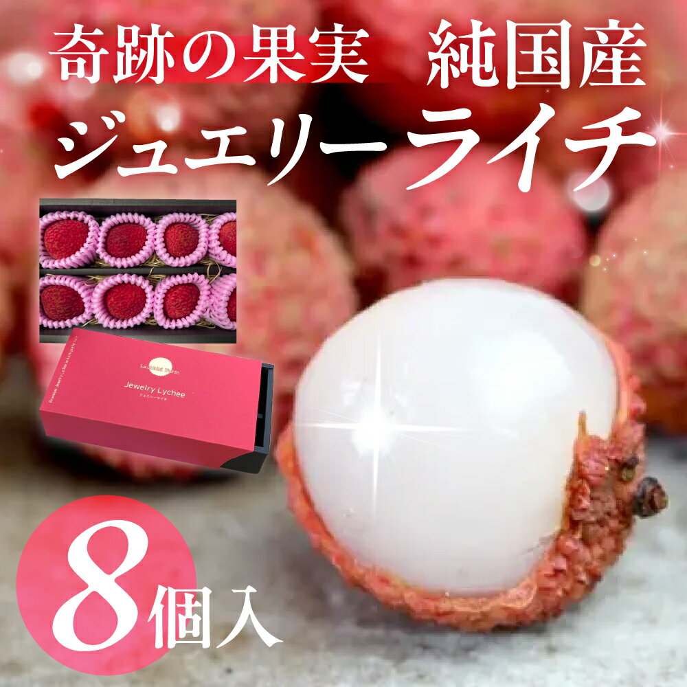 【ふるさと納税】≪先行予約≫ 愛知県産 生ライチ 8個 希少 数量 限定 国産 産地直送 国産ライチ ライチ レイシ 果物 フルーツ 旬 デザート おやつ スイーツ 肉厚 ぷりぷり 南国 貴重 贈答 ギフト プレゼント 高級 冷蔵 愛知県 豊橋市