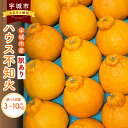 【ふるさと納税】【先行予約】 訳あり ハウス 不知火 【選べる容量】 （約3kg/約5kg/約10kg） 合同会社宝Farm しらぬい 柑橘 ハウス栽培 国産 九州 熊本県 宇城市 送料無料【2025年1月下旬から3月上旬発送予定】