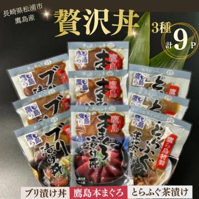 ふるさと納税 松浦市 松浦市鷹島産本まぐろ・とらふぐ・ぶりの贅沢丼 3種セット(各3P)