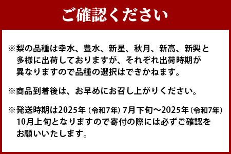 先行予約【2025年7月下旬～発送分】東光寺 梨 2.5kg (5～7玉)  完熟 なし フルーツ 果物 夏 旬 幸水 豊水 秋月 新高 新興 シャリシャリ