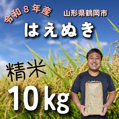 ふるさと納税 鶴岡市 令和8年産先行受付　山形県鶴岡市　『はえぬき (庄内米)』精米　10kg