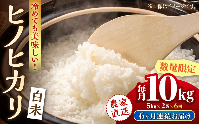 〈令和7年度産米〉【6回定期便】 ヒノヒカリ 白米 10kg（5kg×2袋）【竹下農園】 [ZEL006]