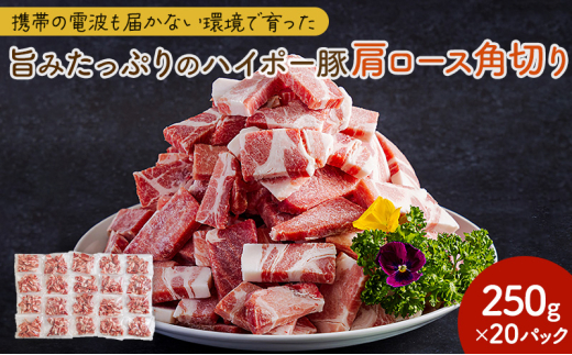 [№5681-0150]豚肉 阿武町産 豚肩ロース 角切り 250g×20パック 小分けセット | 携帯の電波も届かない環境で育った旨みたっぷりのハイポー豚 豚 肉 お肉 ※配送不可:離島