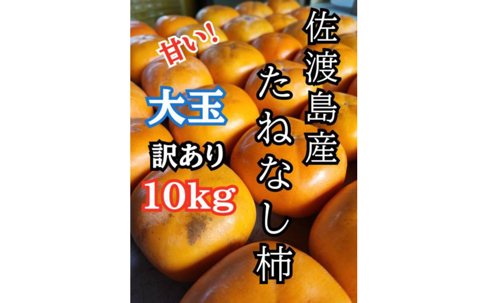 
            【訳あり】大玉たねなし柿10kg（箱込み重量）佐渡島産
          