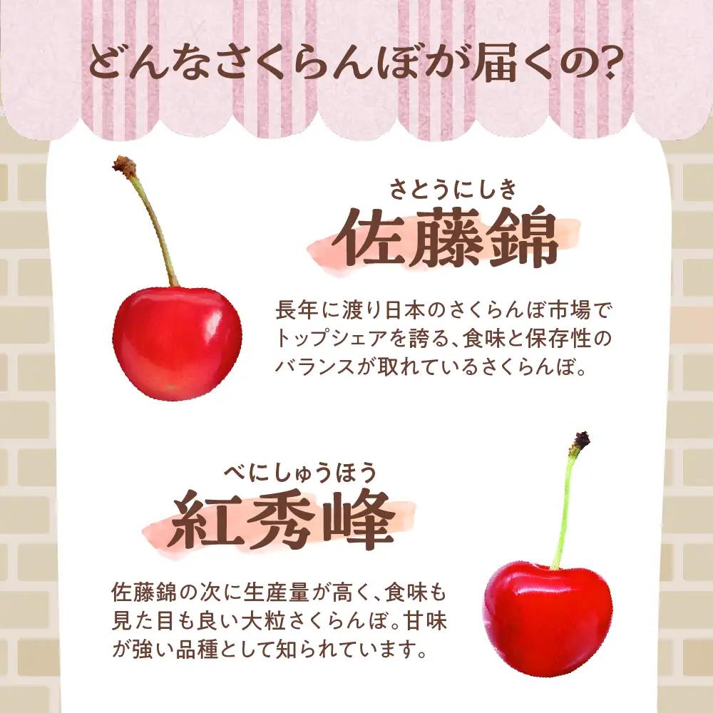 【先行予約】 令和9年産 さくらんぼ 300g 品種おまかせ さくらんぼ