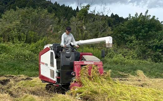 令和7年産米 白河表郷 コシヒカリ 白米 5kg 米 コメ ごはん ご飯 食品 F25R-033