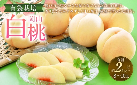 岡山 白桃 8～10玉 （合計2.0kg以上） 【2026年7月上旬～8月上旬 発送予定】 桃 もも モモ 果物 果実 フルーツ 岡山県 奈義町 冷蔵