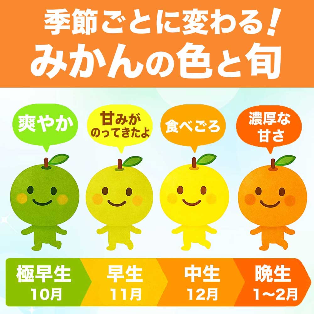 先行予約 早生みかん 約3kg（2S~2L）【2026年11月上旬〜2026年11月下旬配送予定】 みかん ミカン 早生みかん フルーツ 果物 柑橘 かんきつ蜜柑 熊本県 熊本 九州 宇城市 国産 高