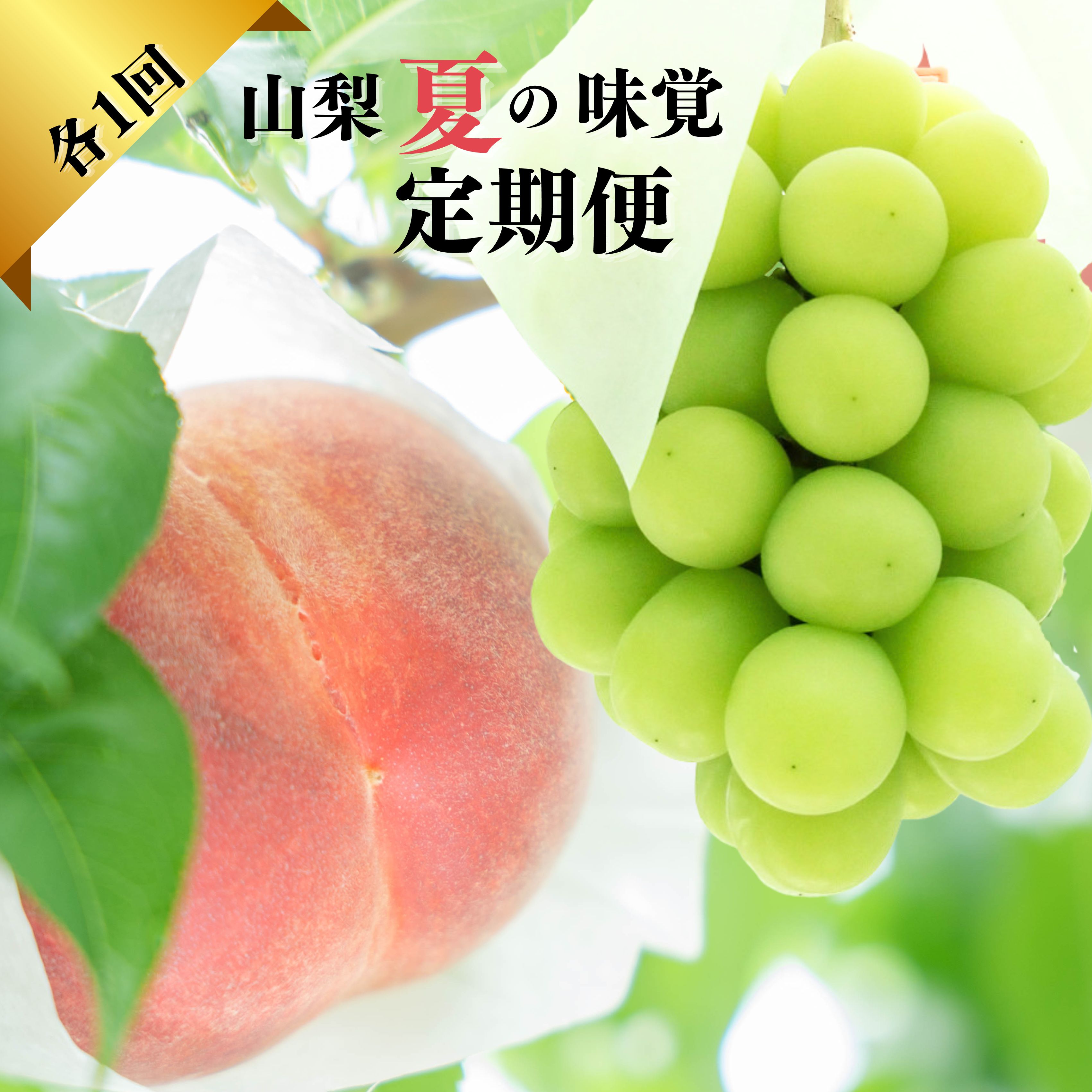 【ふるさと納税】＜2025年発送先行予約＞『山梨夏の味覚定期便』笛吹市産旬の桃とシャインマスカット各1回 ふるさと納税 シャインマスカット 人気 ぶどう ブドウ 葡萄 旬 もも 桃 笛吹市 国産 人気 期間限定 果物 フルーツ 旬 山梨県 送料無料 167-014