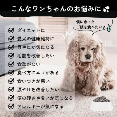 ふるさと納税 苫小牧市 Cao Cao プレミアムドッグフード エアドライ 400g (200g×2袋)　無添加　国産 |  | 02