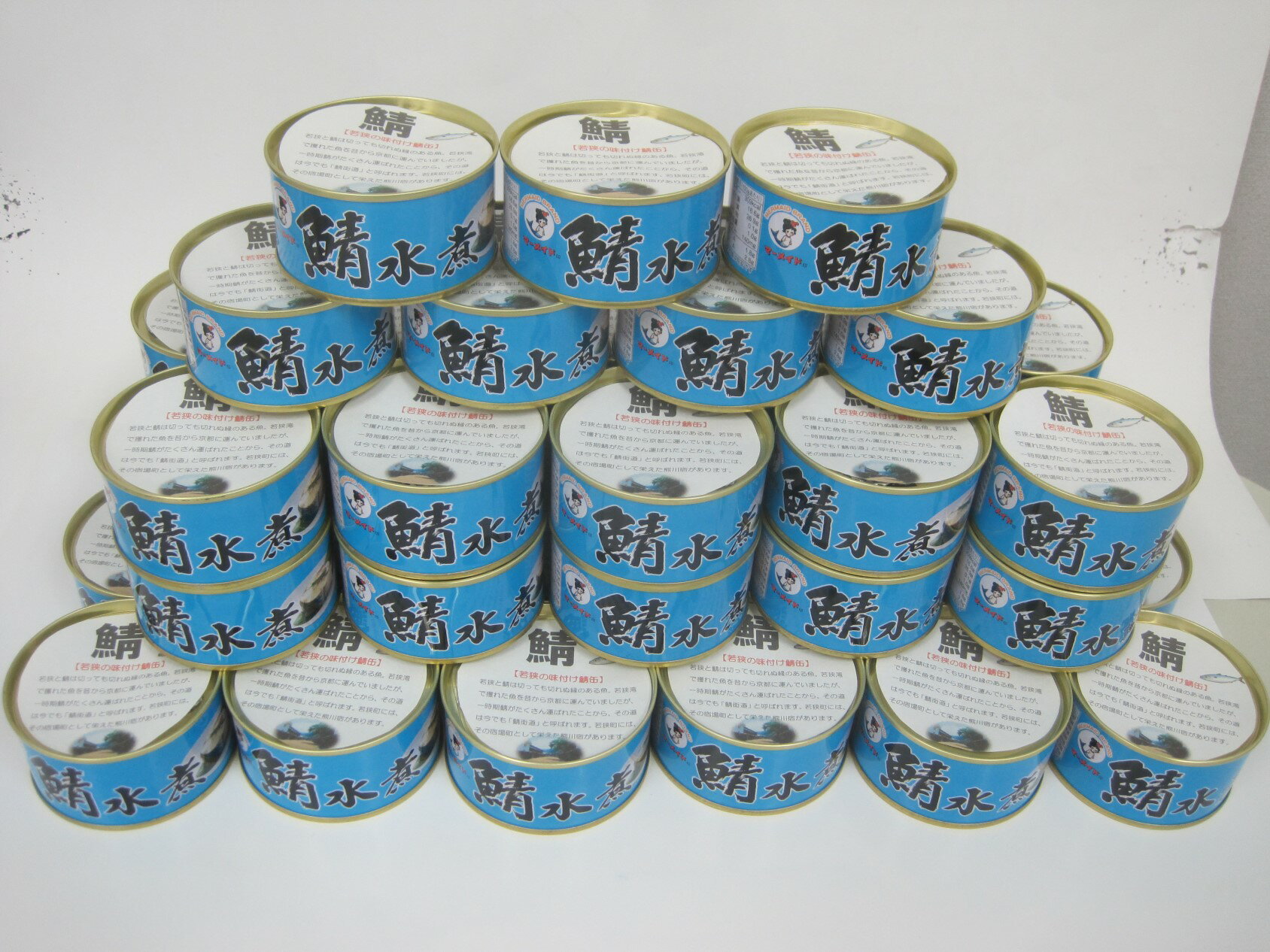 【ふるさと納税】若狭の鯖水煮缶詰 45缶セット キャンプ アウトドア おつまみ 酒の肴 保存食[F-075003] [BFBS007]