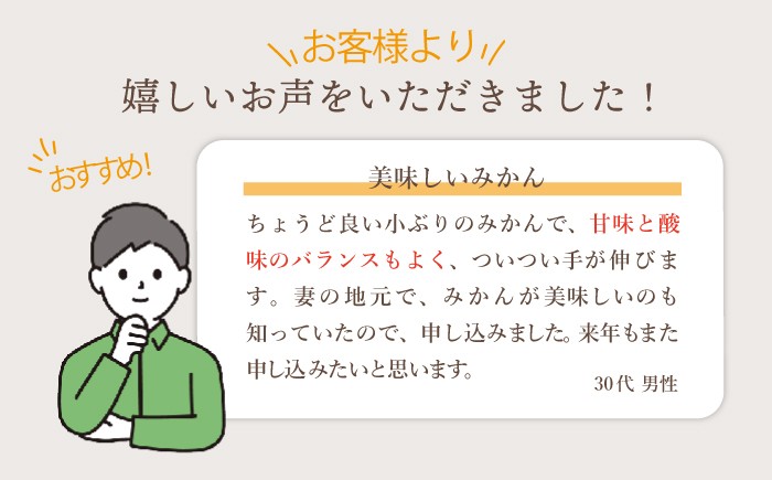 みかん 5kg 