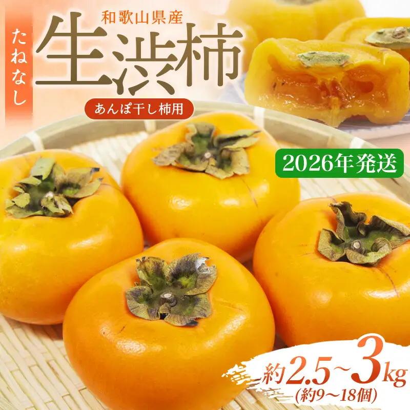 甘さが違う！とっても甘くなる生渋柿（平たねなし柿）あんぽ柿用 T軸枝無 約2.5〜3kg 約9〜18個【2026年10月下旬～順次発送】【art041A】