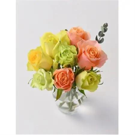 ホシファーム  フリルブーケ　パッション　8本_花・観葉植物  花 _【配送不可地域：離島】【1465243】