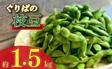 【先行予約】 枝豆 1.5kg えだまめ ぐりぱ