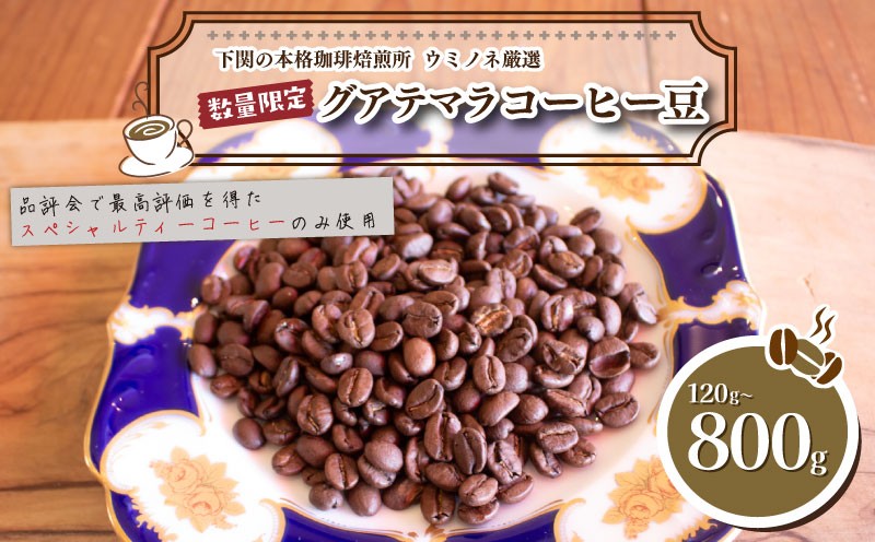 
                  訳あり コーヒー豆 120g ～ 800g(400g×2袋) グアテマラ 数量限定 選べる 単回 定期便 ( コーヒー 珈琲 出荷当日 自家焙煎 スペシャルティコーヒー ホットコーヒー アイスコーヒー コーヒータイム こだわりコーヒー グアテマラコーヒー 飲料 ) ウミノネコーヒー 下関 山口
                