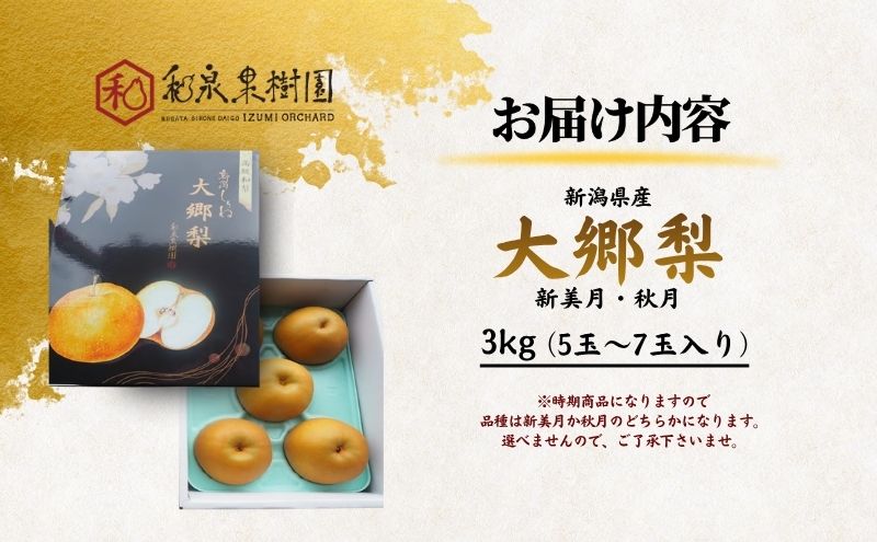 大郷梨3kg（新美月・秋月）