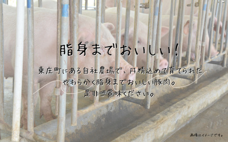 あやめポーク焼肉セット 肩ロース(500g)&ロース(500g)計1kg