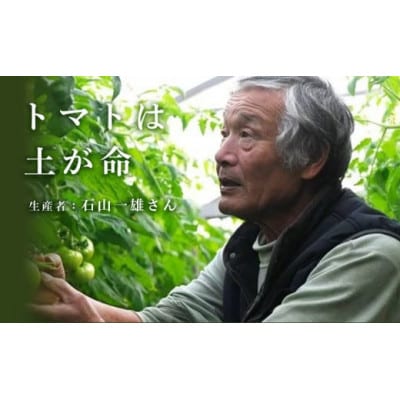 【特選】トマト美味しんぼに登場した『桃太郎』12〜20玉 ランク:特選　糖度9度以上【配送不可地域：離島・沖縄県】【1604237】
