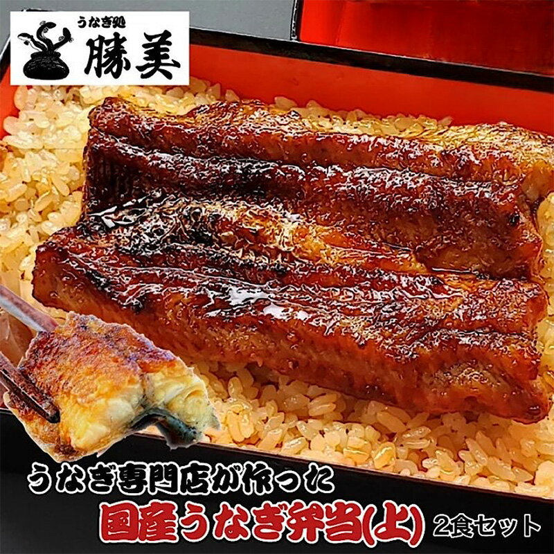 【ふるさと納税】うなぎ弁当 国産 2食セット 【上】 鰻弁当 レンジで温めるだけ ふっくら 蒲焼 タレ 山椒付き 浜松市 静岡県 ご当地グルメ