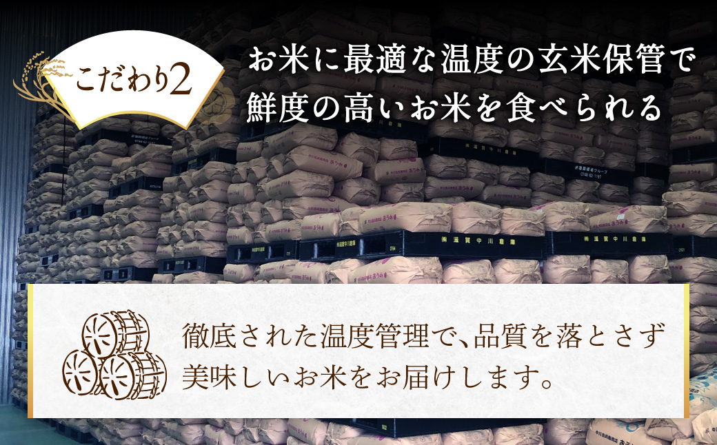 近江戦国米　D34　中川吉兵衛商店