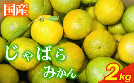 【柑橘】いたくら 農園直送 じゃばら 2kg以上 みかん