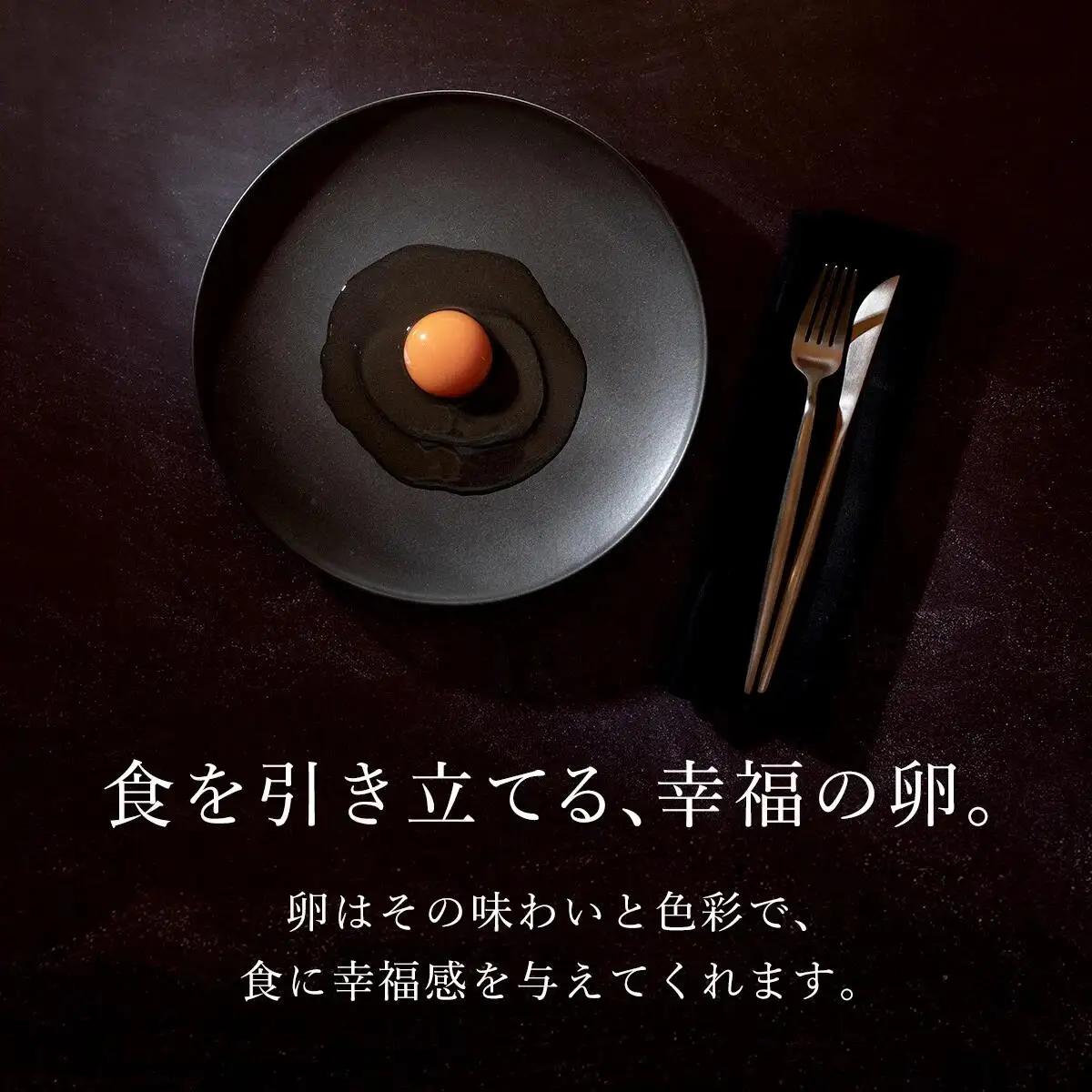 卵どすえ10個 うま味醤油100ml 卵かけご飯 お試しセット 