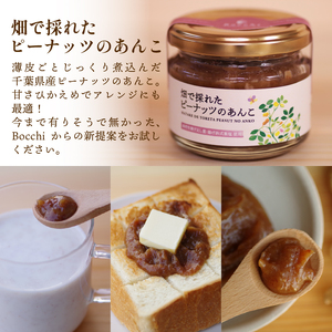 ピーナッツペースト 3本セット ピーナッツ バター 千葉県産 落花生 濃厚 ピーナッツペースト 千葉県産落花生 ぴーなっつ 無添加 ピーナッツクリーム ジャム ナッツ あんこ 餡 あん 砂糖不使用 粒