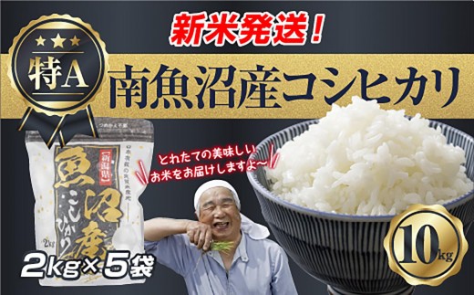 
                  【令和8年産　新米予約】新潟県 南魚沼産 コシヒカリ お米 2kg×5袋 計 10kg 精米済み（お米の美味しい炊き方ガイド付き） お米 こめ 白米 こしひかり 食品 人気 おすすめ魚沼 南魚沼 南魚沼市 新潟県産 新潟県 精米 産直 産地直送【2026年10月中旬より1ヶ月以内に順次発送予定】
                