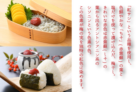 自家製 梅干し 900g × 2箱  [B-023001]
